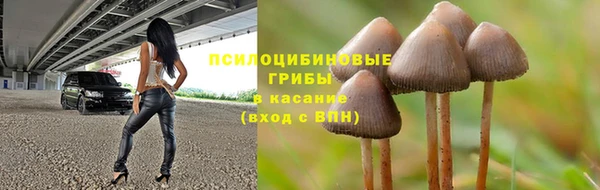 экстази Алексин