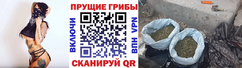 Псилоцибиновые грибы MAGIC MUSHROOMS Андреаполь