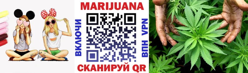 Бошки марихуана Amnesia где купить наркотик Андреаполь